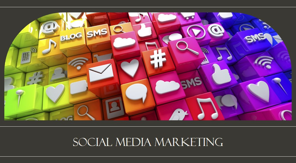 Social Media Marketing Company in Jaipur