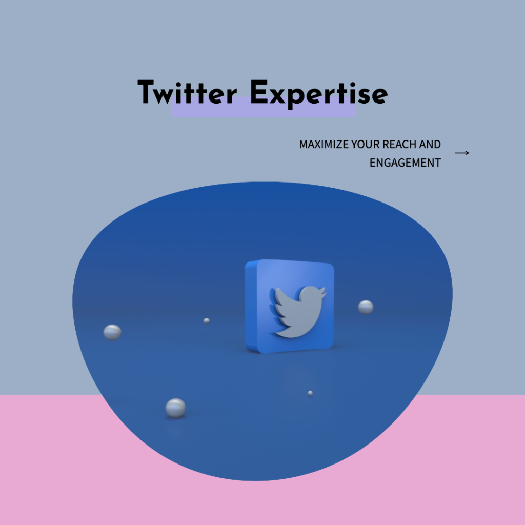 Twitter Expert Trainer Consultant in Jaipur Rajasthan